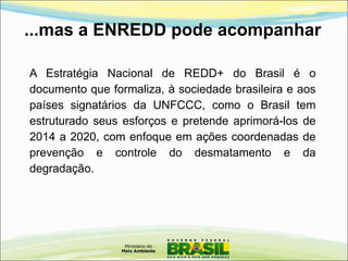 ...mas a ENREDD pode acompanhar
A Estratégia Nacional de REDD+ do Brasil é o
documento que formaliza, à sociedade brasileira e aos
países signatários da UNFCCC, como o Brasil tem
estruturado seus esforços e pretende aprimorá-los de
2014 a 2020, com enfoque em ações coordenadas de
prevenção e controle do desmatamento e da
degradação.
 