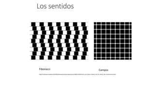 Los sentidos
Fibonacci Campos
http://e-ducativa.catedu.es/44700165/aula/archivos/repositorio//1000/1249/html/3_una_breve_historia_de_las_teoras_del_conocimiento.html
 