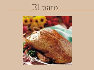 El pato