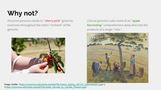 Why not?
Personal genomics tends to “cherry pick” genes to
examines throughout the entire “orchard” of the
genome.
Clinical genomics take more of an “apple
harvesting” comprehensive deep dive into the
products of a single “tree.”
Image credits: <https://commons.wikimedia.org/wiki/File:Cherry_picking_201127_(5991855207).jpg> |
<https://commons.wikimedia.org/wiki/File:Apple_Harvest_by_Camille_Pissarro.jpg>
 