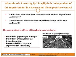 Albuminuria Lowering by Linagliptin is independent of
the Improvement in Glucose and blood pressure control
Groop P-H et al: Diabetes 61 (Suppl 1):A243; 2012
• Inhibition of podocyte damage
• Inhibition of myofibroblast
transformation
• Increased GLP-1 receptor
expression in the kidney
• Similar MA reduction seen irrespective of modest or profound
A1c control1
• Additional MA reduction seen after stabilization of BP with
ACEI/ARB1
J Hypertens. 2014 Nov;32(11):2211-23; discussion 2223. doi:
10.1097/HJH.0000000000000328.
Inhibition of podocyte damage
The renoprotective effects of linagliptin may be due to:
 