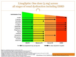 Linagliptin: One dose (5 mg) across
all stages of renal dysfunction including ESRD
Schenthaner. Et al. Diabetes & Vascular Disease Research 2014
 
