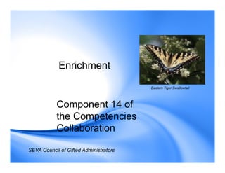 Enrichment
Component 14 of
the Competencies
Collaboration
SEVA Council of Gifted Administrators
Eastern Tiger Swallowtail
 