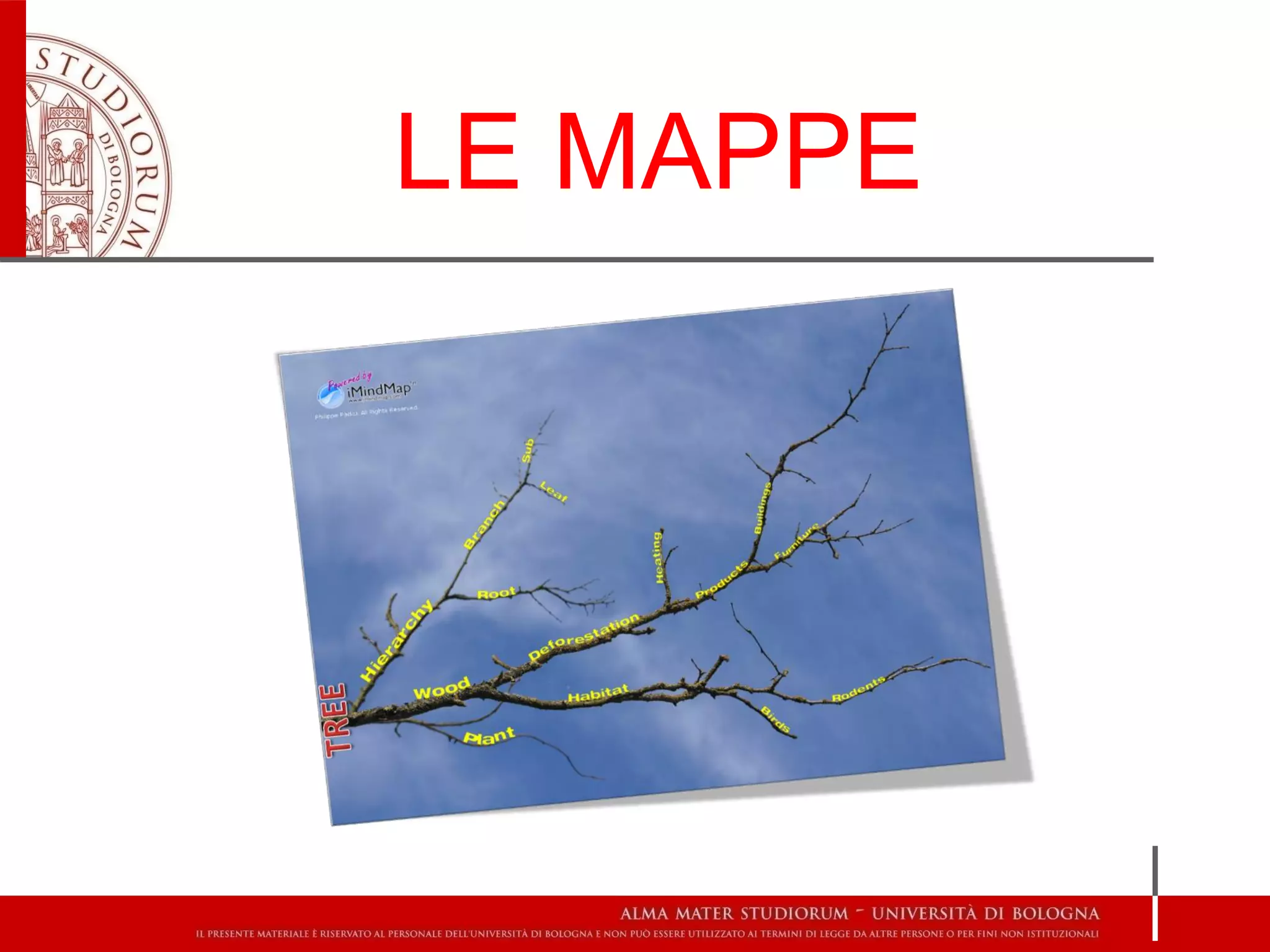 LE MAPPE
 