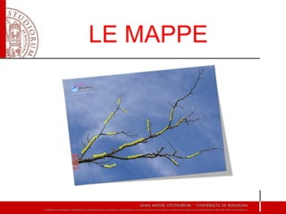 LE MAPPE
 