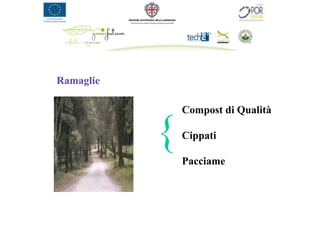 Ramaglie

               Compost di Qualità

           {   Cippati

               Pacciame
 