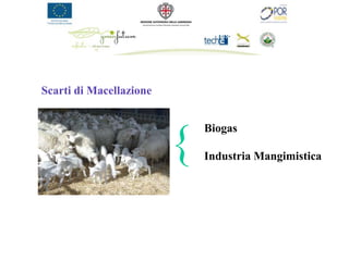 Scarti di Macellazione


                             Biogas

                         {   Industria Mangimistica
 