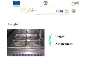 Fanghi




         {   Biogas

             Ammendanti
 
