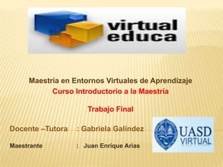 Maestría en Entornos Virtuales de Aprendizaje
           Curso Introductorio a la Maestría

                     Trabajo Final

Docente –Tutora   : Gabriela Galíndez

Maestrante        : Juan Enrique Arias
 