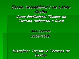 Escola Secundária/3 De Latino Coelho Curso Profissional Técnico de Turismo Ambiental e Rural Ano Lectivo  2008/2009  Disciplina: Turismo e Técnicas de Gestão   