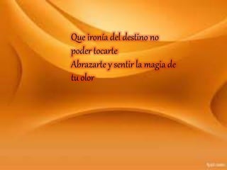 Que ironía del destino no
poder tocarte
Abrazarte y sentir la magia de
tu olor
 