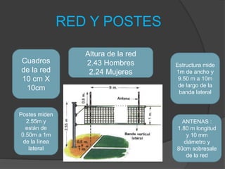 RED Y POSTES
Altura de la red
2.43 Hombres
2.24 Mujeres
Estructura mide
1m de ancho y
9.50 m a 10m
de largo de la
banda lateral
ANTENAS :
1.80 m longitud
y 10 mm
diámetro y
80cm sobresale
de la red
Cuadros
de la red
10 cm X
10cm
Postes miden
2.55m y
están de
0.50m a 1m
de la línea
lateral
 