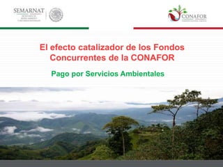 El efecto catalizador de los Fondos
Concurrentes de la CONAFOR
Pago por Servicios Ambientales
 