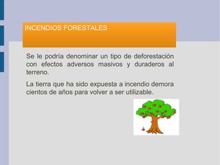 INCENDIOS FORESTALES
Se le podría denominar un tipo de deforestación
con efectos adversos masivos y duraderos al
terreno.
La tierra que ha sido expuesta a incendio demora
cientos de años para volver a ser utilizable.
 