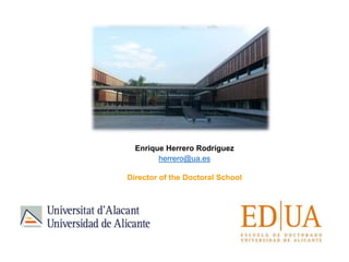 Enrique Herrero Rodríguez
herrero@ua.es
Director of the Doctoral School
 