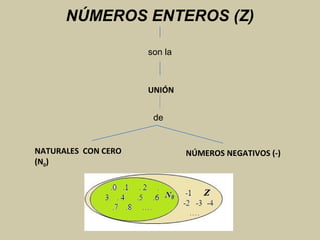NÚMEROS ENTEROS (Z)
son la
UNIÓN
de
NATURALES CON CERO
(N0)
NÚMEROS NEGATIVOS (-)