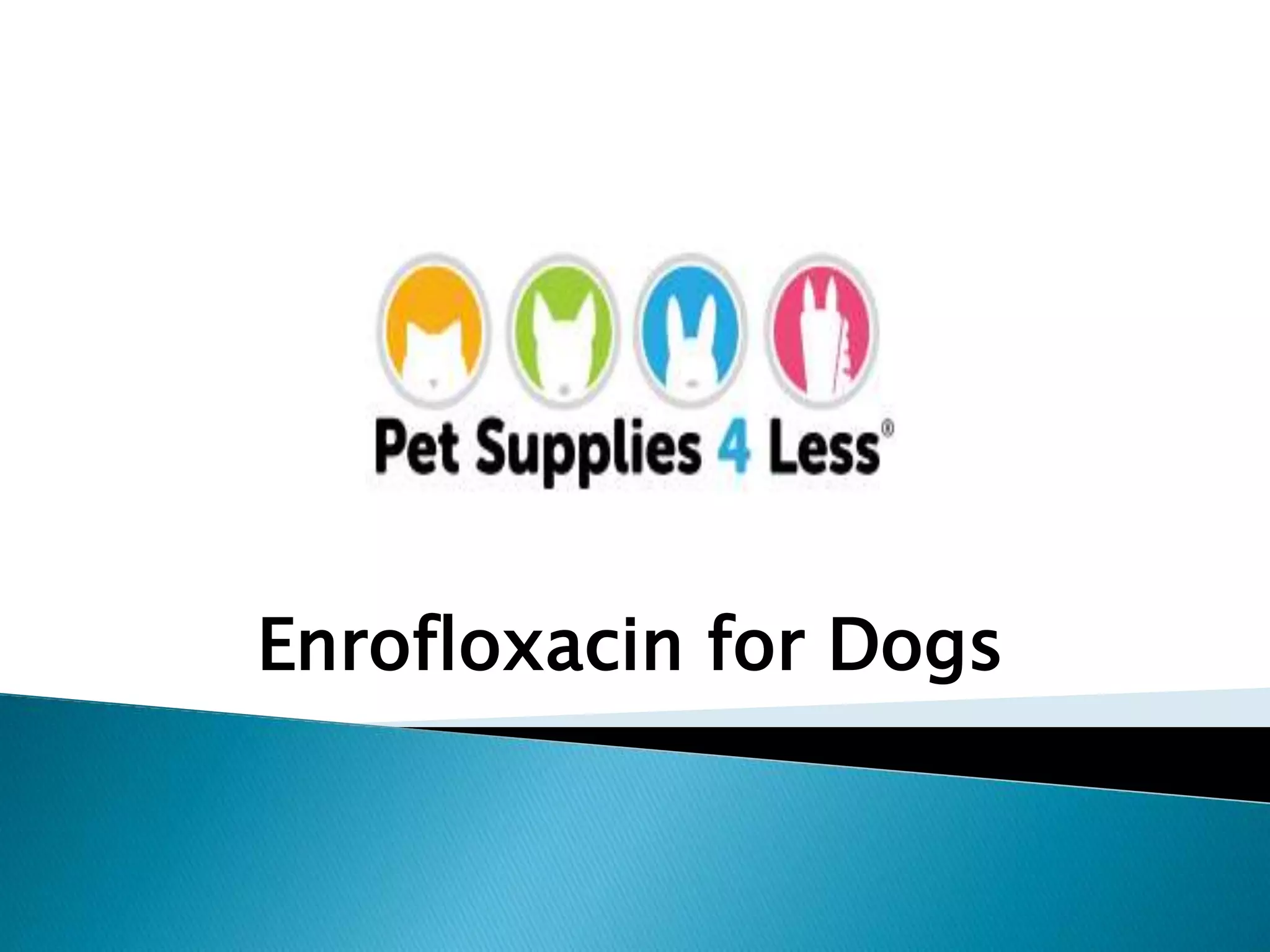 Enrofloxacin for Dogs PPT