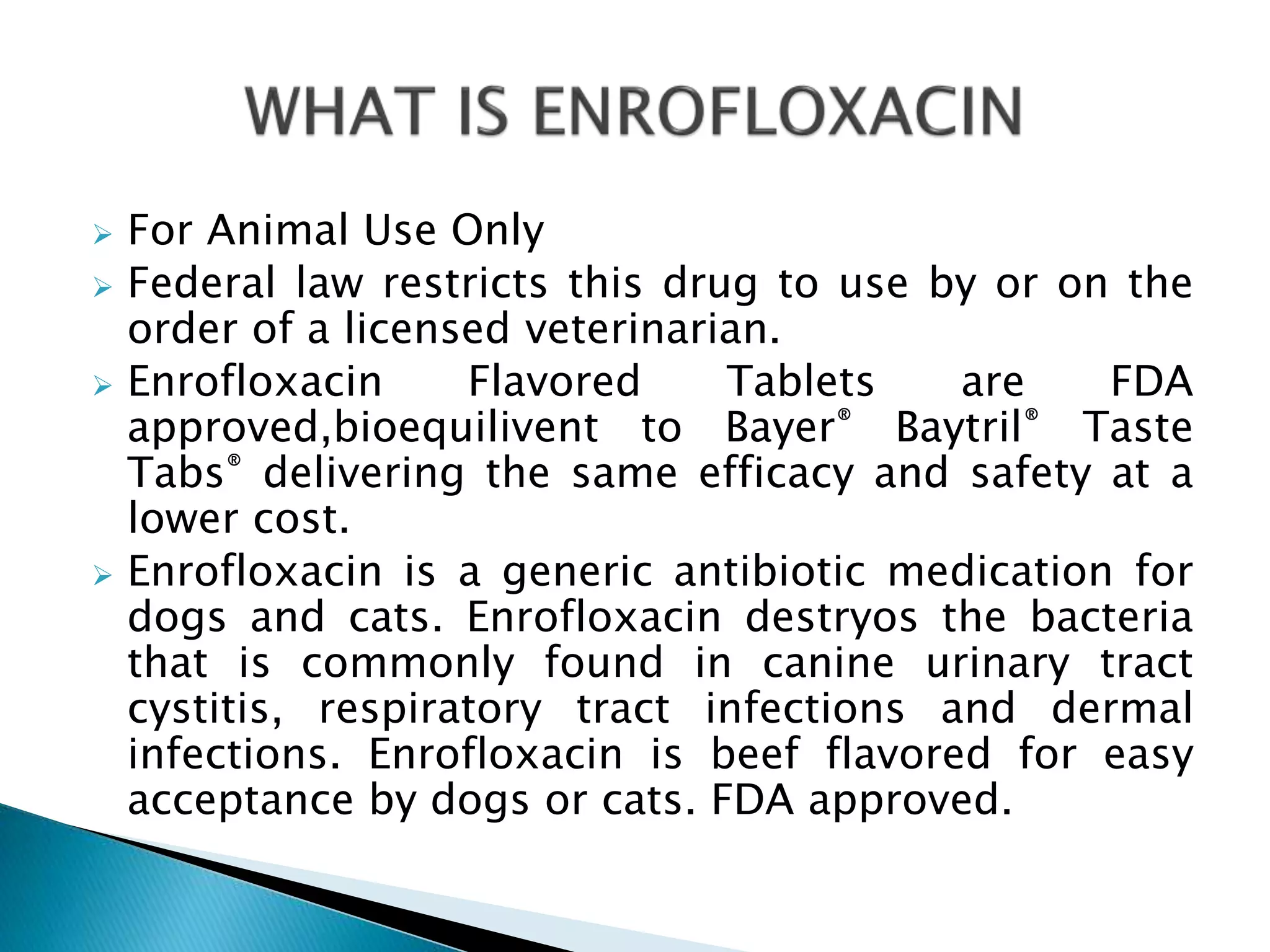 Enrofloxacin for Dogs PPT