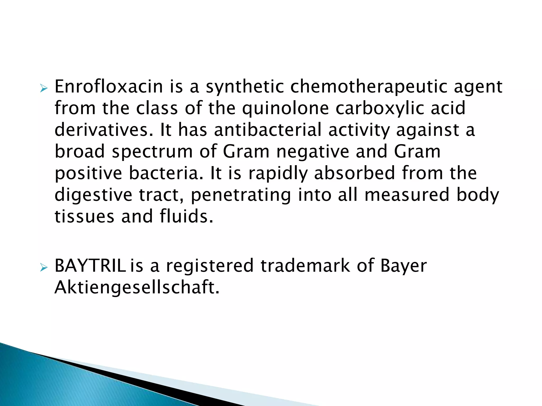 Enrofloxacin for Dogs PPT