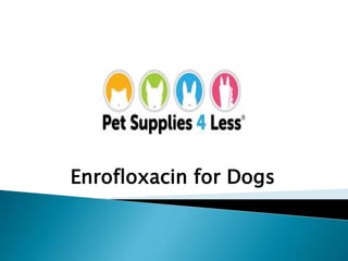 Enrofloxacin for Dogs
 