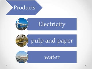 Products


           Electricity

      pulp and paper

             water
 
