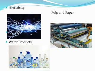  Electricity
Pulp and Paper

 Water Products
 