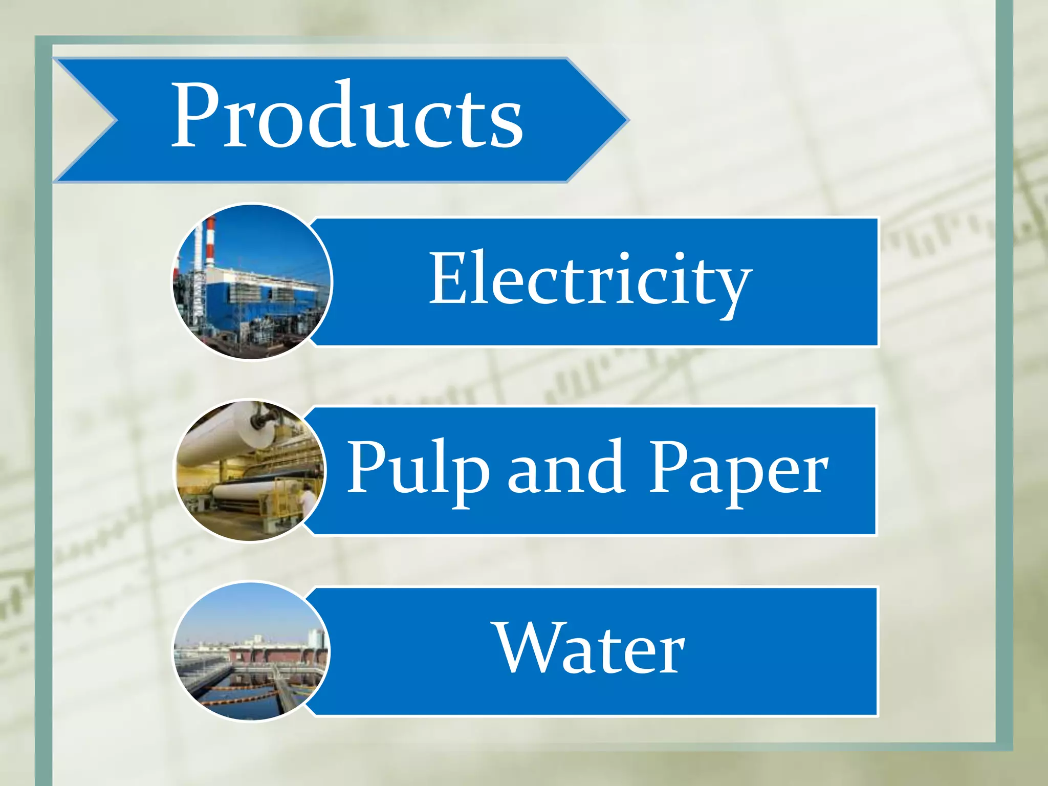 Electricity
Pulp and Paper
Water
Products