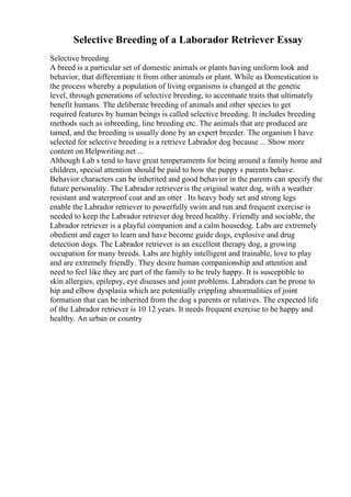 Selective Breeding of a Laborador Retriever Essay
Selective breeding
A breed is a particular set of domestic animals or plants having uniform look and
behavior, that differentiate it from other animals or plant. While as Domestication is
the process whereby a population of living organisms is changed at the genetic
level, through generations of selective breeding, to accentuate traits that ultimately
benefit humans. The deliberate breeding of animals and other species to get
required features by human beings is called selective breeding. It includes breeding
methods such as inbreeding, line breeding etc. The animals that are produced are
tamed, and the breeding is usually done by an expert breeder. The organism I have
selected for selective breeding is a retrieve Labrador dog because ... Show more
content on Helpwriting.net ...
Although Lab s tend to have great temperaments for being around a family home and
children, special attention should be paid to how the puppy s parents behave.
Behavior characters can be inherited and good behavior in the parents can specify the
future personality. The Labrador retriever is the original water dog, with a weather
resistant and waterproof coat and an otter . Its heavy body set and strong legs
enable the Labrador retriever to powerfully swim and run and frequent exercise is
needed to keep the Labrador retriever dog breed healthy. Friendly and sociable, the
Labrador retriever is a playful companion and a calm housedog. Labs are extremely
obedient and eager to learn and have become guide dogs, explosive and drug
detection dogs. The Labrador retriever is an excellent therapy dog, a growing
occupation for many breeds. Labs are highly intelligent and trainable, love to play
and are extremely friendly. They desire human companionship and attention and
need to feel like they are part of the family to be truly happy. It is susceptible to
skin allergies, epilepsy, eye diseases and joint problems. Labradors can be prone to
hip and elbow dysplasia which are potentially crippling abnormalities of joint
formation that can be inherited from the dog s parents or relatives. The expected life
of the Labrador retriever is 10 12 years. It needs frequent exercise to be happy and
healthy. An urban or country
 