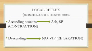 LOCAL REFLEX
(BEHIND BOLUS AND IN FRONT OF BOLUS)
•Ascending neurons Ach, SP
(CONTRACTION)
•Descending NO, VIP (RELAXATION)
 