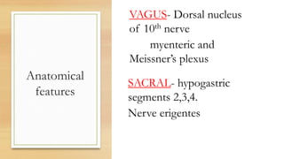 Anatomical
features
VAGUS- Dorsal nucleus
of 10th nerve
myenteric and
Meissner’s plexus
SACRAL- hypogastric
segments 2,3,4.
Nerve erigentes
 