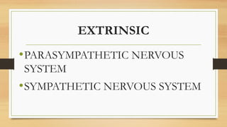 EXTRINSIC
•PARASYMPATHETIC NERVOUS
SYSTEM
•SYMPATHETIC NERVOUS SYSTEM
 