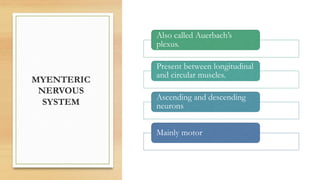 MYENTERIC
NERVOUS
SYSTEM
Also called Auerbach’s
plexus.
Present between longitudinal
and circular muscles.
Ascending and descending
neurons
Mainly motor
 