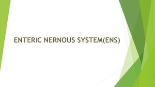 ENTERIC NERNOUS SYSTEM(ENS)
 