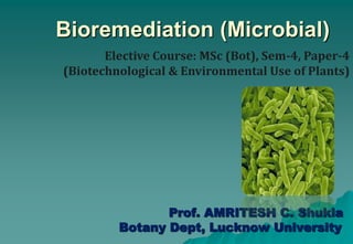 Bioremediation (Microbial)
Prof. AMRITESH C. Shukla
Botany Dept, Lucknow University
Elective Course: MSc (Bot), Sem-4, Paper-4
(Biotechnological & Environmental Use of Plants)
 
