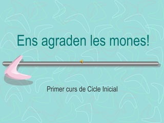 Ens agraden les mones! Primer curs de Cicle Inicial 