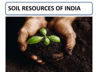 SOIL RESOURCES OF INDIA
 