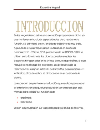 Excreción Vegetal
4
En los vegetales no existe una excreción propiamente dicha ya
que no tienen estructurasespecializadas para realizar esta
función. La cantidad de sustancias de desecho es muy baja.
Algunos de estos productos son reutilizados en procesos
anabólicos: El H2O y el CO2, productos de la RESPIRACIÓN,se
utilizan en la fotosíntesis; las plantas pueden emplear los
desechos nitrogenados en la síntesis de nuevasproteínas, lo cual
reduce su necesidad de excreción. Los productos de la
respiración los eliminan a travésde ESTOMAS, pelos radicales y
lenticelas; otros desechos se almacenan en el cuerpo de la
planta.
La excreción en plantas es una función que realizan para sacar
al exterior sustancias que luego pueden ser utilizadas por ellas
mismas para realizar sus funciones de
 fotosíntesis
 respiración
O bien acumularla en sus vacuolaspara sustancia de reserva.
 