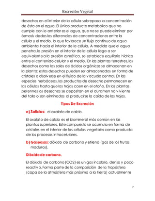 Excreción Vegetal
7
desechos en el interior de la célula sobrepasa la concentración
de ésta en el agua. El único producto metabólico que no
cumple con lo anterior es el agua, que no se puede eliminar por
ósmosis dadas las diferencias de concentraciones entre la
célula y el medio, lo que favoreceun flujo continuo de agua
ambiental hacia el interior de la célula. A medida que el agua
penetra,la presión en el interior de la célula llega a ser
equivalentea la presión osmótica, se establece equilibrio hídrico
entre el contenido celular y el medio. En las plantas terrestres,los
desechos como las sales de ácidos orgánicos se almacenan en
la planta; estos desechos pueden ser almacenados en forma de
cristales o disolverse en el fluido de la vacuola central. En las
especies herbáceas, los productos de desecho permanecen en
las células hasta que las hojas caen en el otoño. En las plantas
perennes los desechos se depositan en el duramen no viviente
del tallo o son eliminados al producirse la caída de las hojas.
Tipos De Excreción
a) Solidas: el oxalato de calcio.
El oxalato de calcio es el biomineral más común en las
plantas superiores. Este compuesto se acumula en forma de
cristales en el interior de las células vegetales como producto
de los procesos intracelulares.
b) Gaseosas: dióxido de carbono y etileno (gas de los frutos
maduros).
Dióxidode carbono.
El dióxido de carbono (CO2) es un gas incoloro, denso y poco
reactivo.Forma parte de la composición de la tropósfera
(capa de la atmósfera más próxima a la Tierra) actualmente
 