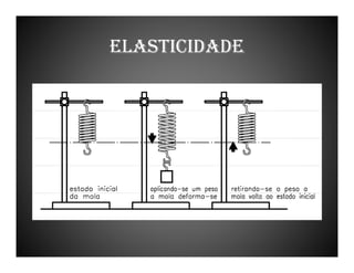 ELASTICIDADE

 