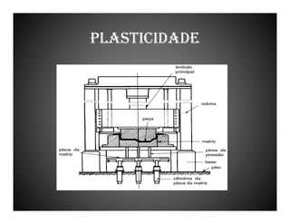 PLASTICIDADE

 