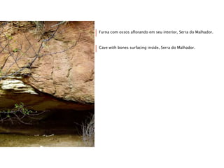 Furna com ossos aflorando em seu interior, Serra do Malhador.
Cave with bones surfacing inside, Serra do Malhador.
 
