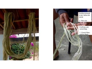 Confeccionand
o aió, bolsa de
caroá
1. Fibra do
caroá, planta
nativa.
Crafting aió,
caroá bag.
1. Caroá fiber,
native plant.
 