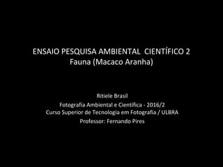 ENSAIO PESQUISA AMBIENTAL CIENTÍFICO 2
Fauna (Macaco Aranha)
Ritiele Brasil
Fotografia Ambiental e Científica - 2016/2
Curso Superior de Tecnologia em Fotografia / ULBRA
Professor: Fernando Pires
 