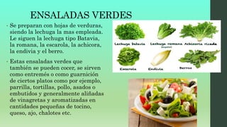 ENSALADAS VERDES
• Se preparan con hojas de verduras,
siendo la lechuga la mas empleada.
Le siguen la lechuga tipo Batavia,
la romana, la escarola, la achicora,
la endivia y el berro.
• Estas ensaladas verdes que
también se pueden cocer, se sirven
como entremés o como guarnición
de ciertos platos como por ejemplo,
parrilla, tortillas, pollo, asados o
embutidos y generalmente aliñadas
de vinagretas y aromatizadas en
cantidades pequeñas de tocino,
queso, ajo, chalotes etc.
 