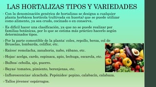 LAS HORTALIZAS TIPOS Y VARIEDADES
• Con la denominación genérica de hortalizas se designa a cualquier
planta herbácea hortícola (cultivada en huerta) que se puede utilizar
como alimento, ya sea crudo, cocinado o en conserva.
• Es difícil hacer una clasificación, ya que no se puede realizar por
familias botánicas, por lo que se estima más práctico hacerlo según
determinados tipos.
Por la parte comestible de la planta: coles, repollo, berza, col de
Bruselas, lombarda, coliflor, etc.
Raíces: remolacha, zanahoria, nabo, rábano, etc.
Hojas: acelga, cardo, espinaca, apio, lechuga, escarola, etc.
Bulbos: cebolla, ajo, puerro.
Bayas: tomates, pimiento, berenjenas, etc.
Inflorescencias: alcachofa. Pepónides: pepino, calabacín, calabaza.
Tallos jóvenes: espárragos.
 