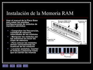 Instalación de la Memoria RAM Usar el manual de la Placa Base para saber las posibles configuraciones de módulos de memoria admitidos: - Comprobar las frecuencias, cantidad de memoria, velocidades de los módulos - Manipular los módulos por los extremos sin tocar los chips de memoria - Para colocar los módulos alinear correctamente las muescas de los módulos - Levantar pestañas, insertar el módulo y presionar hasta que se cierren las mismas 