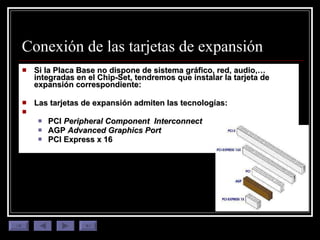 Conexión de las tarjetas de expansión Si la Placa Base no dispone de sistema gráfico, red, audio,… integradas en el Chip-Set, tendremos que instalar la tarjeta de expansión correspondiente: Las tarjetas de expansión admiten las tecnologías: PCI  Peripheral Component  Interconnect AGP  Advanced Graphics Port PCI Express x 16 