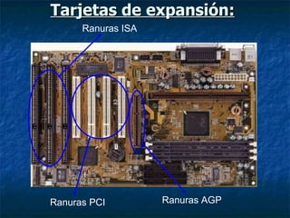 Tarjetas de expansión:   Ranuras ISA Ranuras PCI Ranuras AGP 