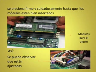 se presiona firme y cuidadosamente hasta que los
módulos estén bien insertados




                                            Módulos
                                            para el
                                             ajuste

Así:
Se puede observar
que están
ajustadas
                                                   16
 