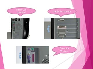 Panel con
tornillos Cable de monitor
Conector
Teclado
 